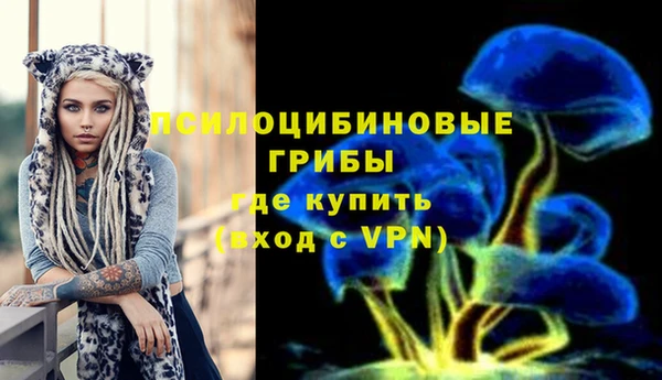 ALPHA PVP Гусь-Хрустальный
