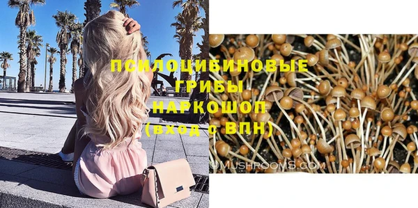 jwh Гусев