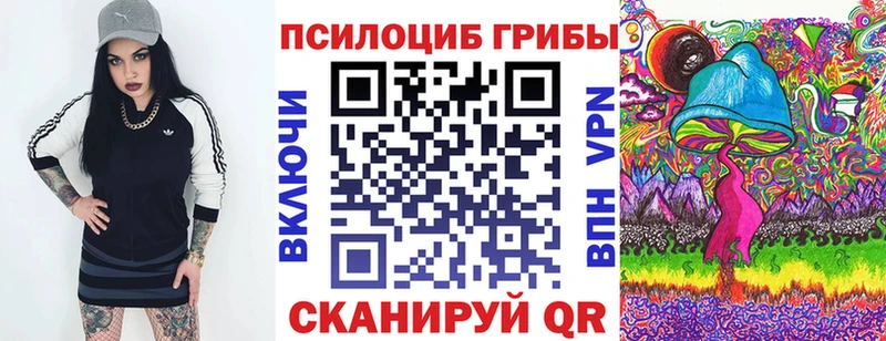 Галлюциногенные грибы Psilocybe Нахабино